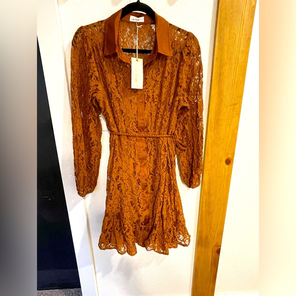 NWT lace fall/winter dress
